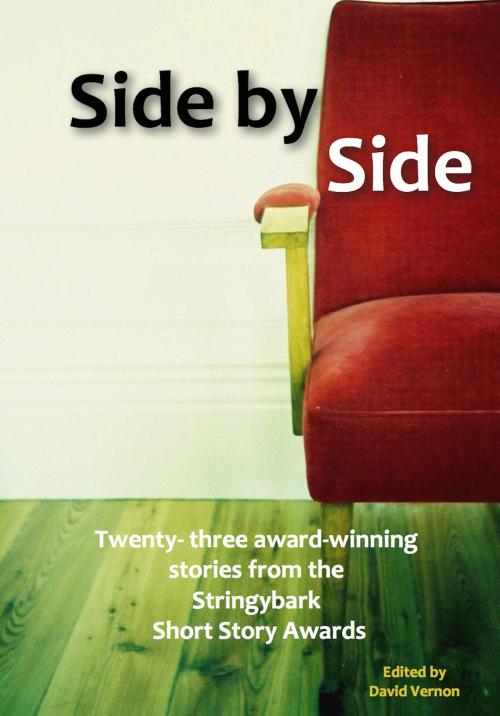 Cover of the book Side by Side by David Vernon, David Vernon