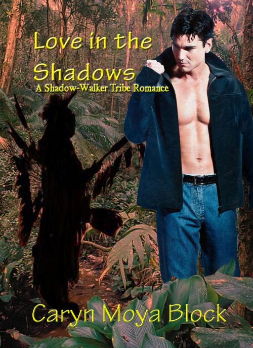 Cover of the book Love in the Shadows by Caryn Moya Block, Caryn Moya Block