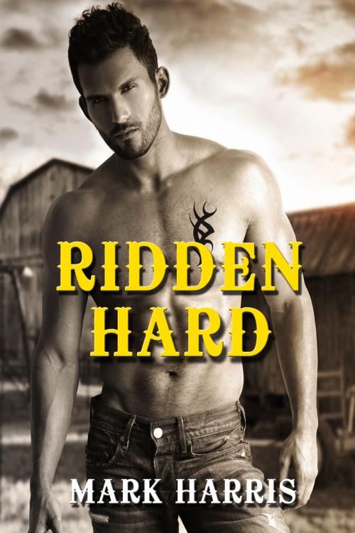 Cover of the book Ridden Hard: Mayhem MC (Gay Motorcycle Club Erotica) by Mark Harris, Aria Fox
