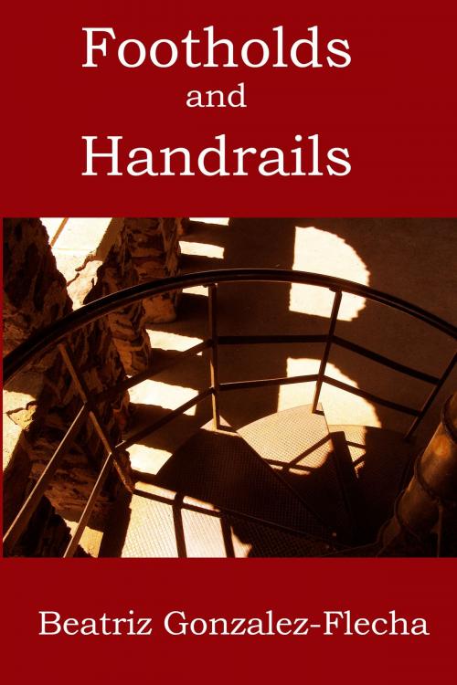 Cover of the book Footholds and Handrails by Beatriz Gonzalez-Flecha, Beatriz Gonzalez-Flecha