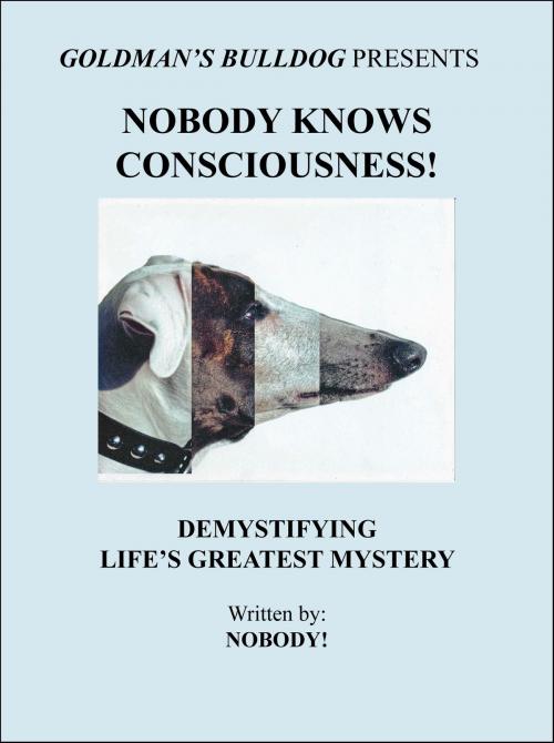 Cover of the book Nobody Knows Consciousness!: Demystifying Life's Greatest Mystery by Nobody!, Nobody!