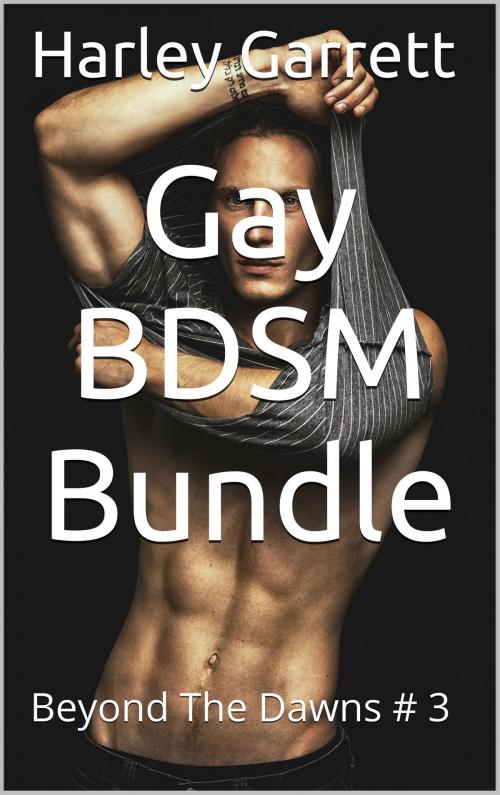 Cover of the book Gay BDSM Bundle: Beyond The Dawns # 3 by Harley Garrett, Langley's Lovelies