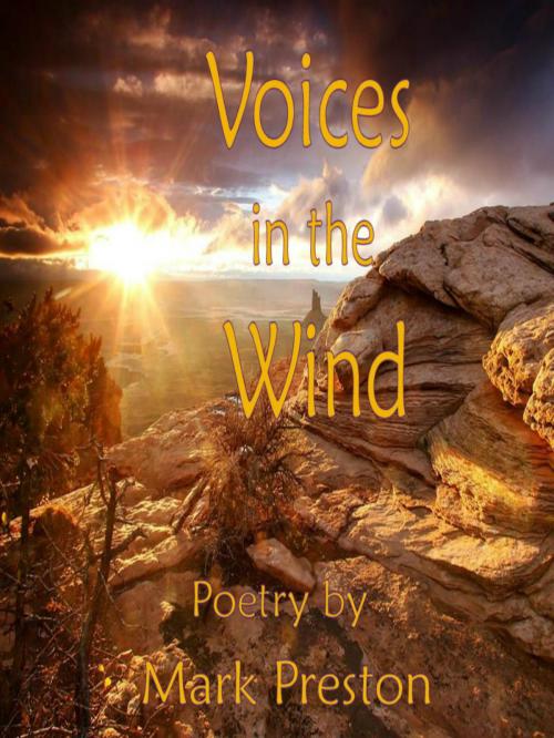 Cover of the book Voices in the Wind by Mark Preston, Mark Preston