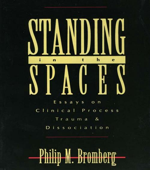 Cover of the book Standing in the Spaces by Philip M. Bromberg, Taylor and Francis