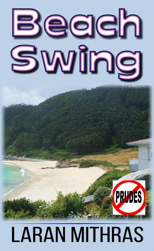 Cover of the book Beach Swing by Laran Mithras, Laran Mithras
