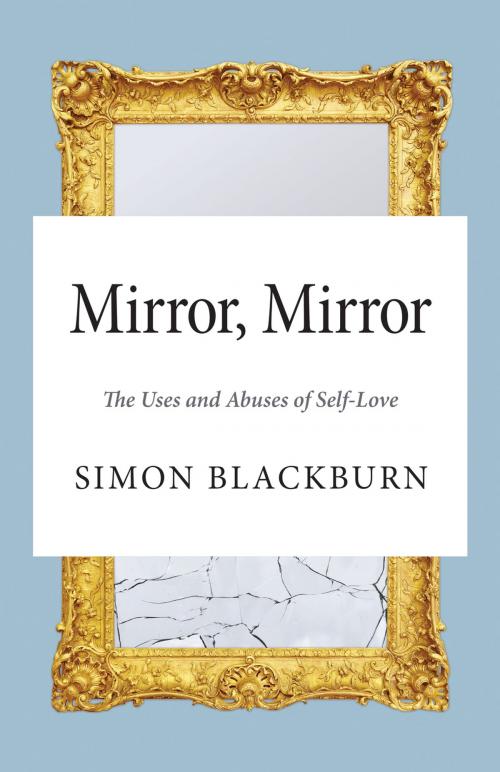Cover of the book Mirror, Mirror by Simon Blackburn, Princeton University Press