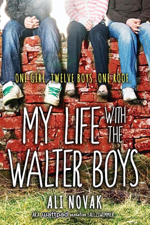 Cover of the book My Life with the Walter Boys by Ali Novak, Sourcebooks