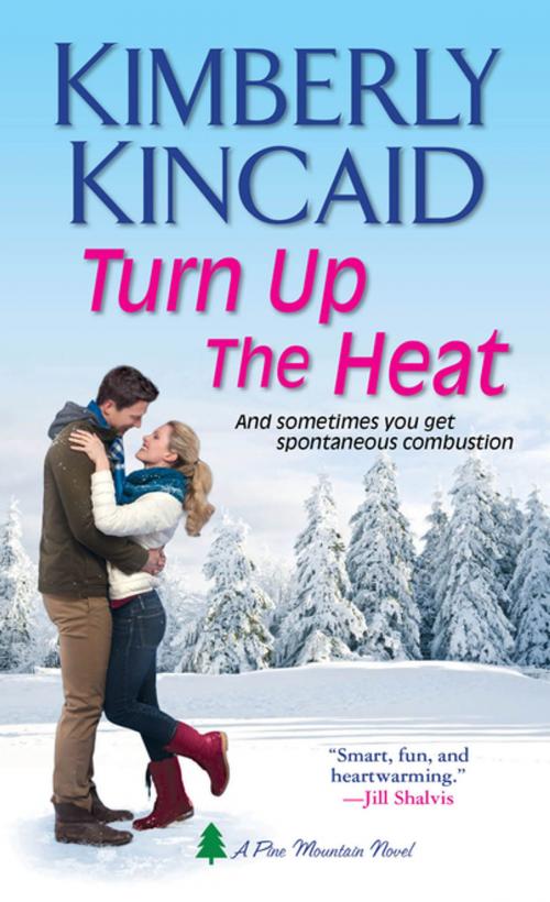 Cover of the book Turn Up the Heat by Kimberly Kincaid, Zebra Books