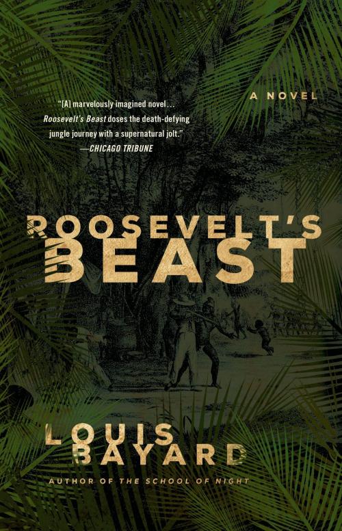 Cover of the book Roosevelt's Beast by Louis Bayard, Henry Holt and Co.