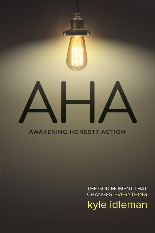 Cover of the book AHA by Kyle Idleman, David C Cook
