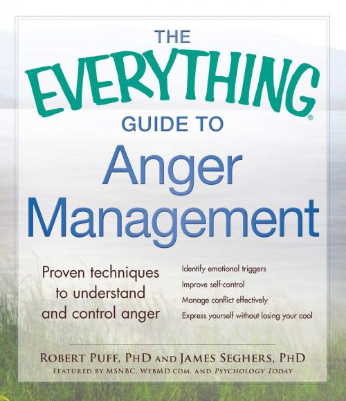 Cover of the book The Everything Guide to Anger Management by Robert Puff, James Seghers, Adams Media