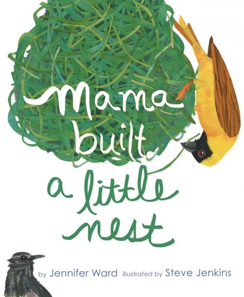 Cover of the book Mama Built a Little Nest by Jennifer Ward, Beach Lane Books