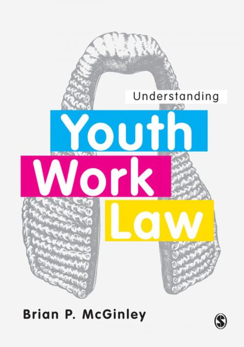 Cover of the book Understanding Youth Work Law by Brian P. McGinley, SAGE Publications