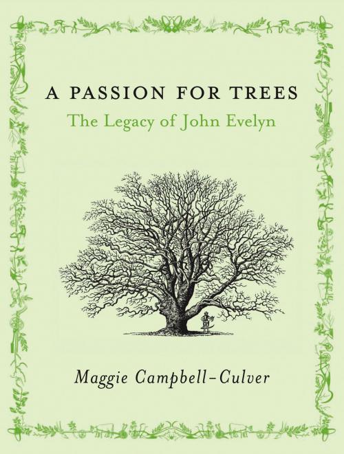 Cover of the book A Passion For Trees by Maggie Campbell-Culver, Transworld