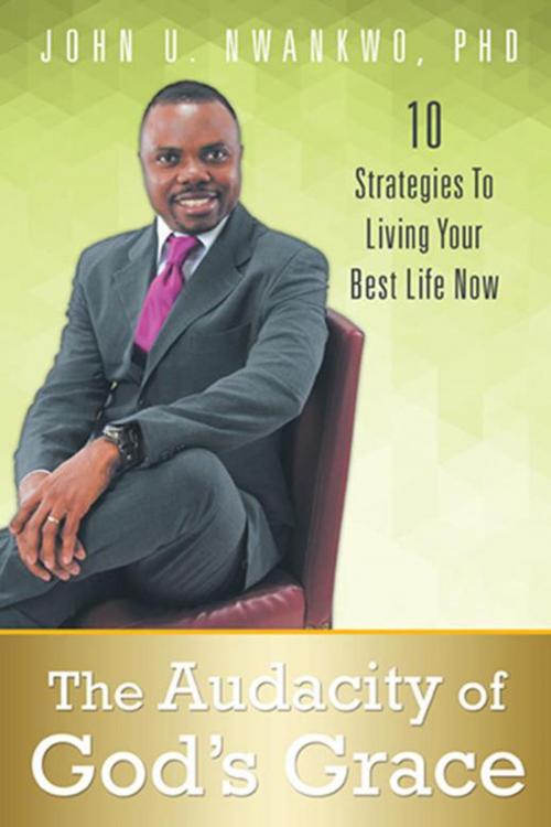 Cover of the book The Audacity of God's Grace by John U. Nwankwo PhD, Balboa Press