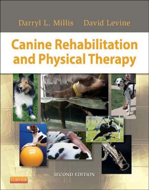 Cover of the book Canine Rehabilitation and Physical Therapy - E-Book by Darryl Millis, MS, DVM Diplomate ACVS ACVSMR CCRP, David Levine, PhD, PT, Elsevier Health Sciences