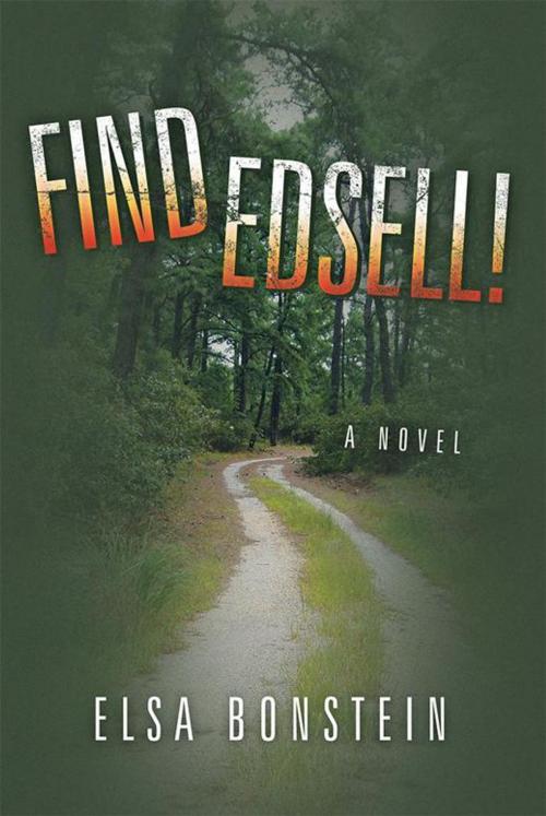 Cover of the book Find Edsell! by Elsa Bonstein, Abbott Press