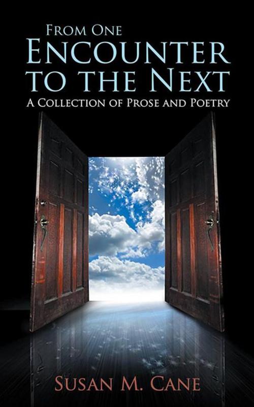 Cover of the book From One Encounter to the Next by Susan M. Cane, Abbott Press