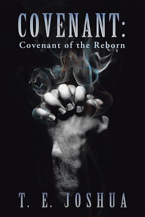 Cover of the book Covenant by T. E. Joshua, Abbott Press