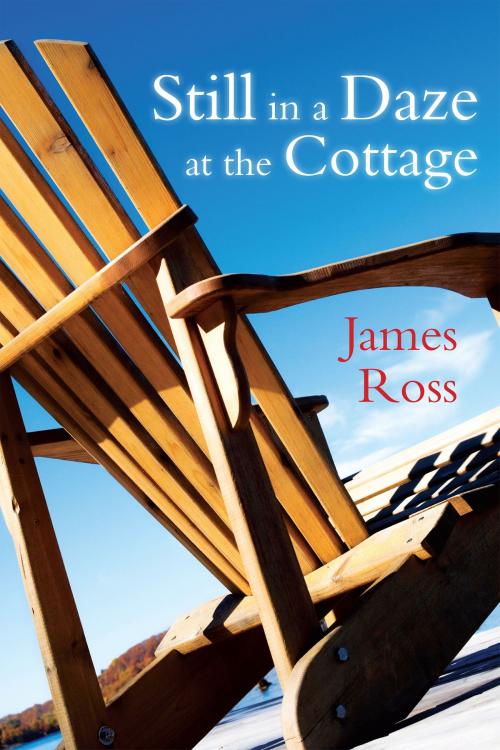 Cover of the book Still in a Daze at the Cottage by James Ross, Dundurn