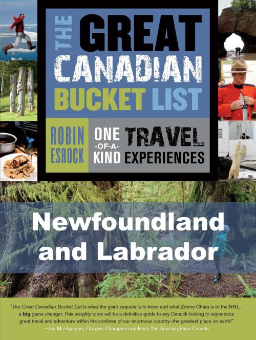 Cover of the book The Great Canadian Bucket List — Newfoundland and Labrador by Robin Esrock, Dundurn