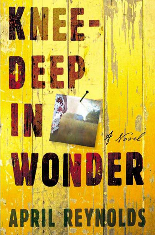 Cover of the book Knee-Deep in Wonder by April Reynolds, Henry Holt and Co.