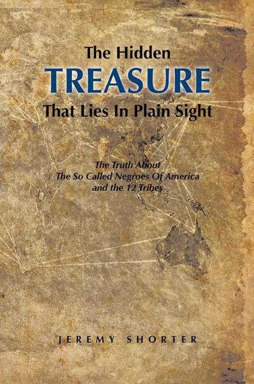 Cover of the book The Hidden Treasure That Lies in Plain Sight by JEREMY SHORTER, AuthorHouse