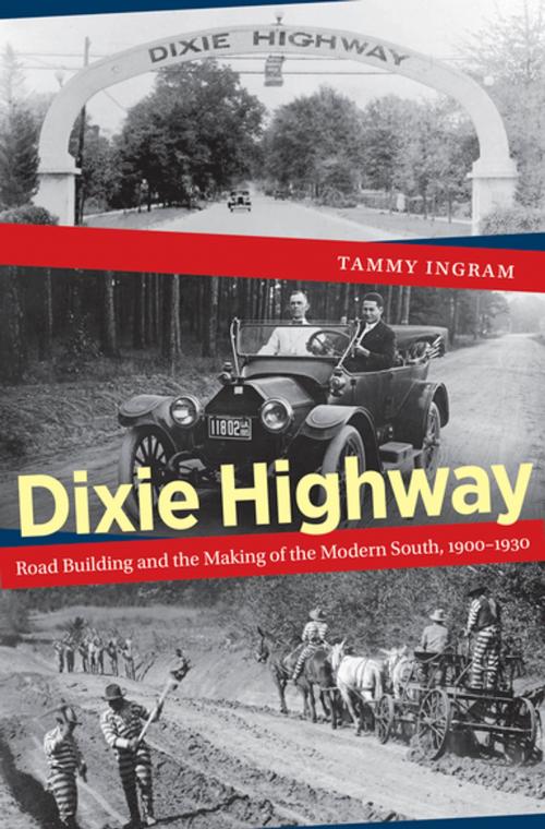 Cover of the book Dixie Highway by Tammy Ingram, The University of North Carolina Press