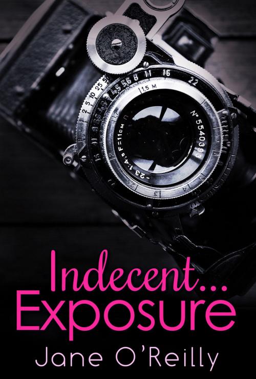Cover of the book Indecent...Exposure by Jane O'Reilly, HarperCollins Publishers