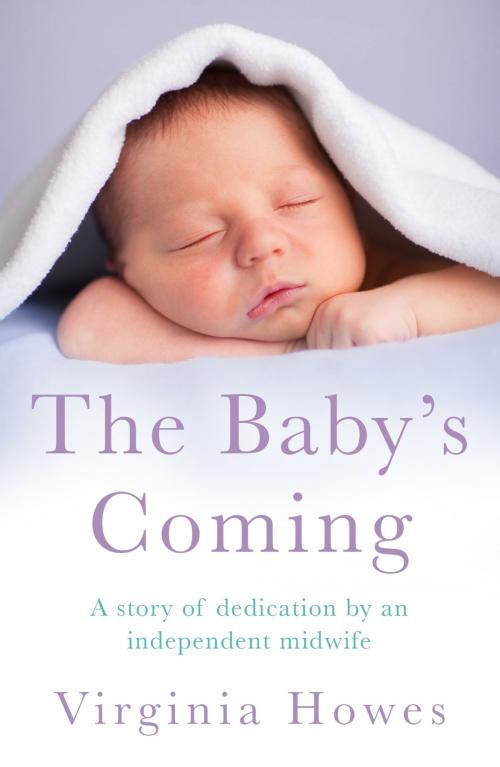 Cover of the book The Baby's Coming by Virginia Howes, Headline