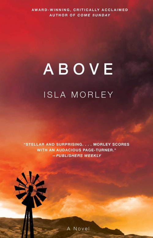 Cover of the book Above by Isla Morley, Gallery Books