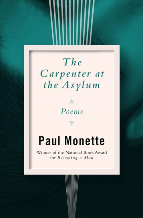 Cover of the book The Carpenter at the Asylum by Paul Monette, Open Road Media