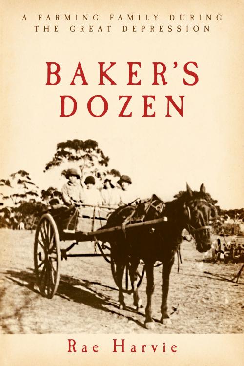 Cover of the book Baker's Dozen by Rae Harvie, BookBaby