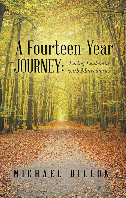 Cover of the book A Fourteen-Year Journey: by Michael Dillon, LifeRich Publishing