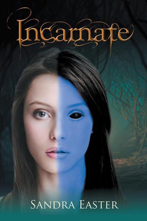 Cover of the book Incarnate by Sandra Easter, Trafford Publishing