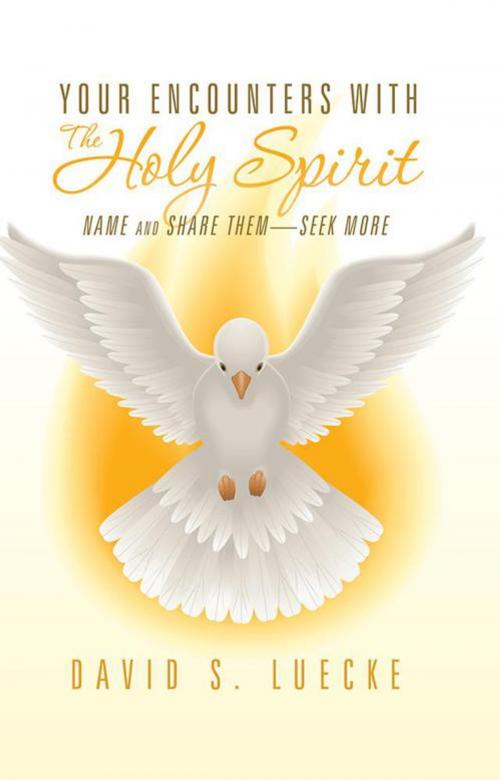 Cover of the book Your Encounters with the Holy Spirit by David S. Luecke, WestBow Press