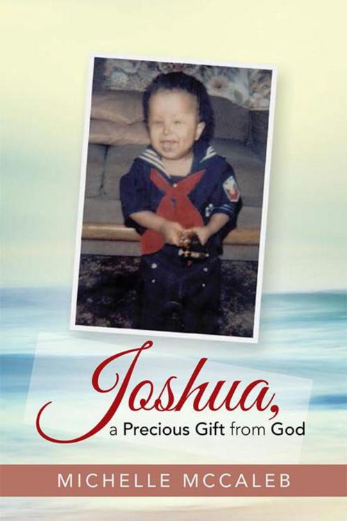 Cover of the book Joshua, a Precious Gift from God by Michelle McCaleb, WestBow Press