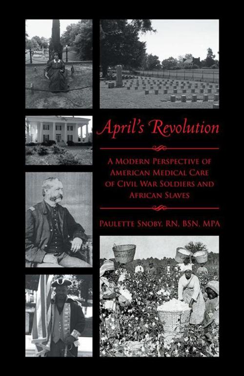 Cover of the book April’S Revolution by Paulette Snoby RN BSN MPA, iUniverse