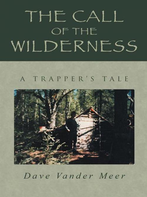Cover of the book The Call of the Wilderness by Dave Vander Meer, iUniverse