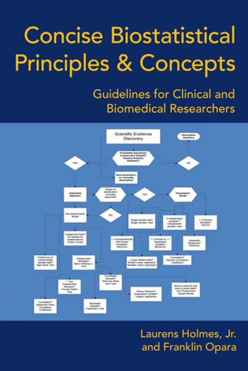 Cover of the book Concise Biostatistical Principles & Concepts by Laurens Holmes Jr., AuthorHouse