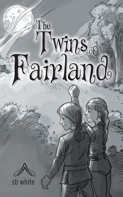 Cover of the book The Twins of Fairland by sb white, AuthorHouse