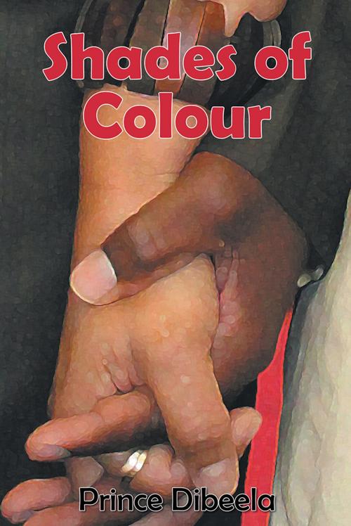 Cover of the book Shades of Colour by Prince Dibeela, AuthorHouse UK