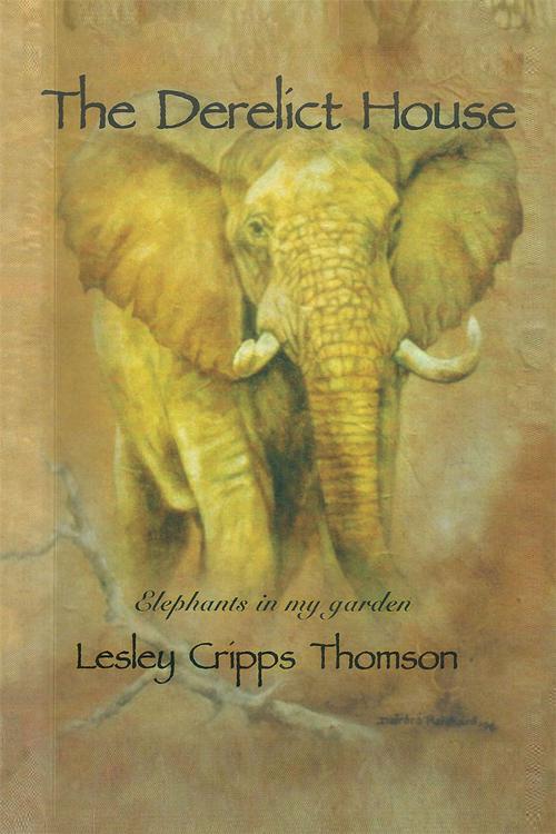 Cover of the book The Derelict House by Lesley Cripps Thomson, AuthorHouse UK