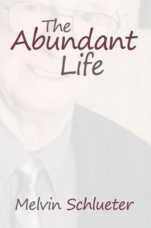 Cover of the book The Abundant Life by Melvin Schlueter, Xlibris US