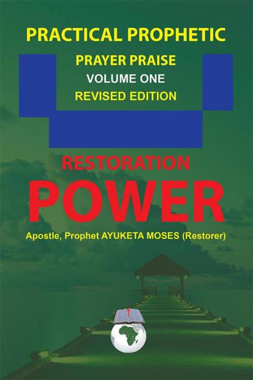 Cover of the book Practical Prophetic Prayer Praise by AYUKETA MOSES, Xlibris US
