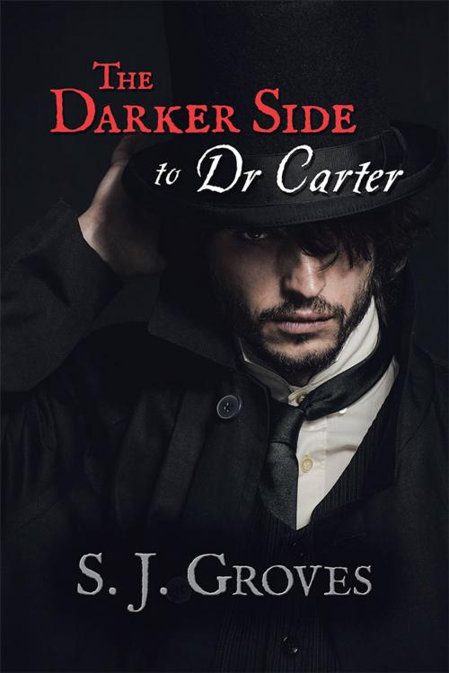 Cover of the book The Darker Side to Dr Carter by S. J. Groves, AuthorHouse UK