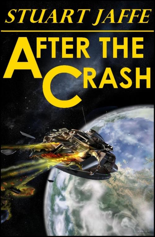 Cover of the book After The Crash by Stuart Jaffe, Stuart Jaffe