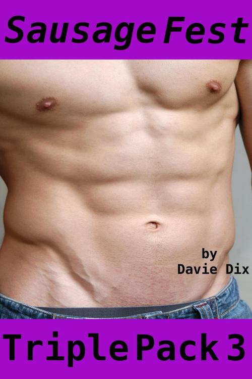 Cover of the book Sausage Fest, Triple Pack 3 (Gay Erotica) by Davie Dix, Tales of Flesh Press