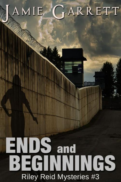 Cover of the book Ends and Beginnings - Book 3 by Jamie Garrett, Jamie Garrett
