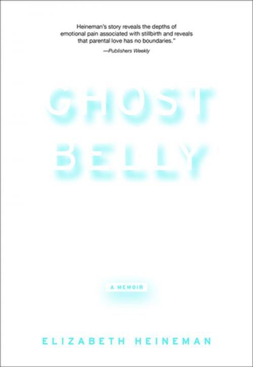 Cover of the book Ghostbelly by Elizabeth Heineman, The Feminist Press at CUNY